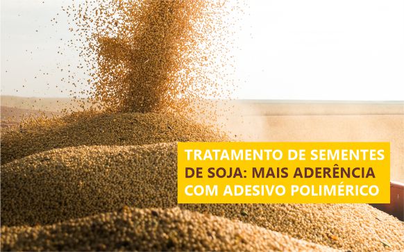 Tratamento de sementes de soja on-farm: o papel do adesivo polimérico