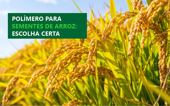 Polímero para tratamento industrial de sementes de arroz: como escolher?