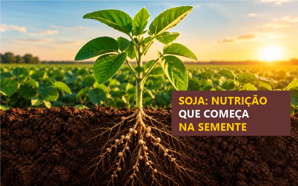 Aminoácidos, cobalto e molibdênio no tratamento de sementes de soja: por que aplicar